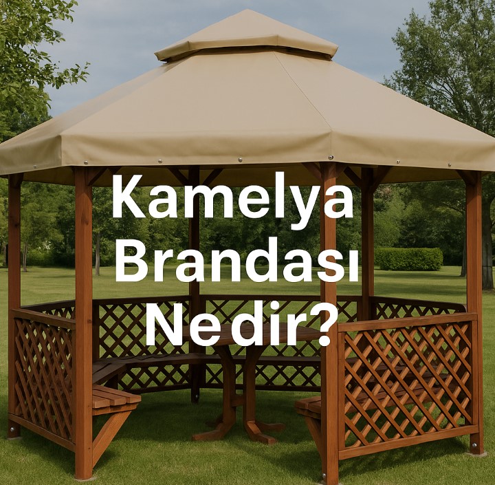 Kamelya Branda Fiyatları, Kullanım Alanları ve Özellikleri